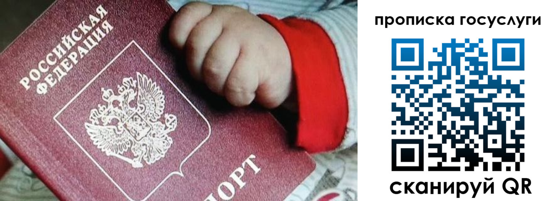 прописка штамп в Красноармейске